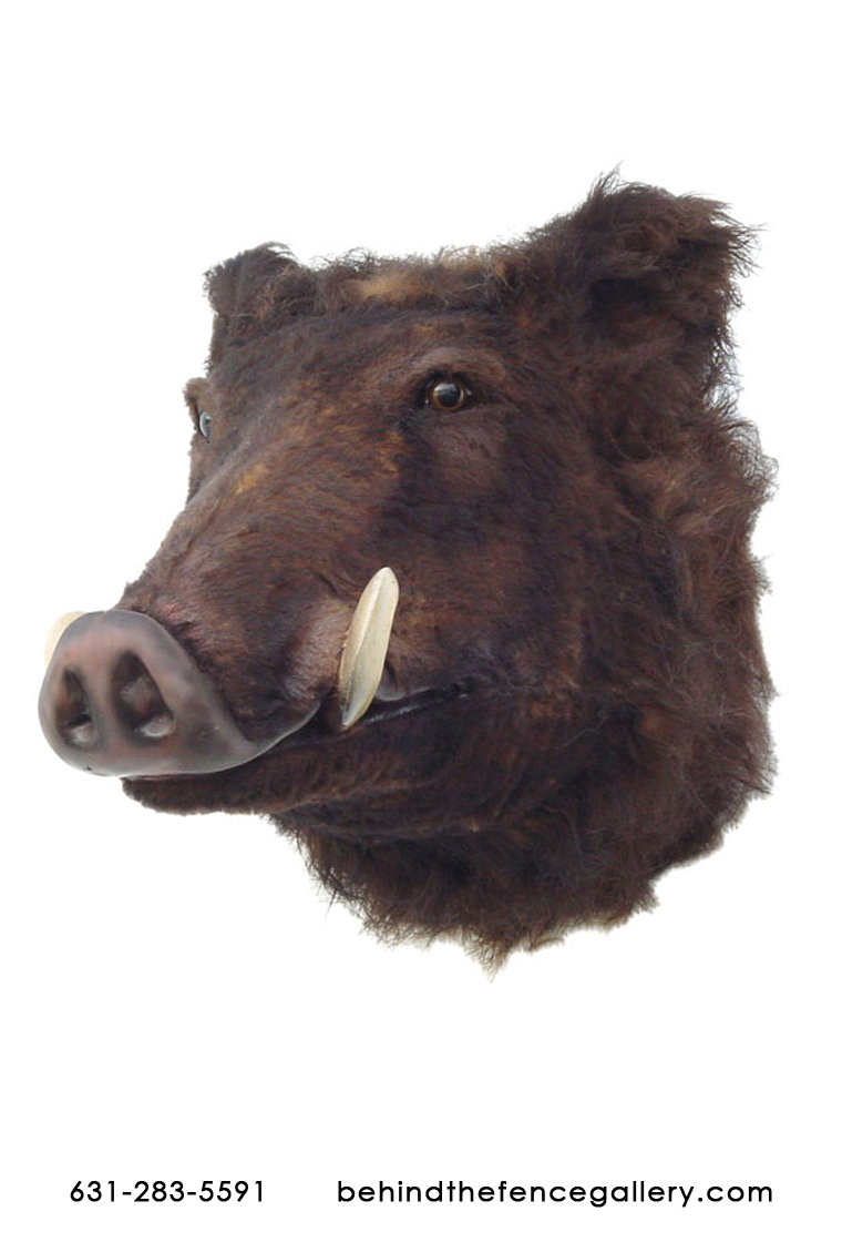 Wild Boar Head Wall Mount Wild Boar Head Wall Mount