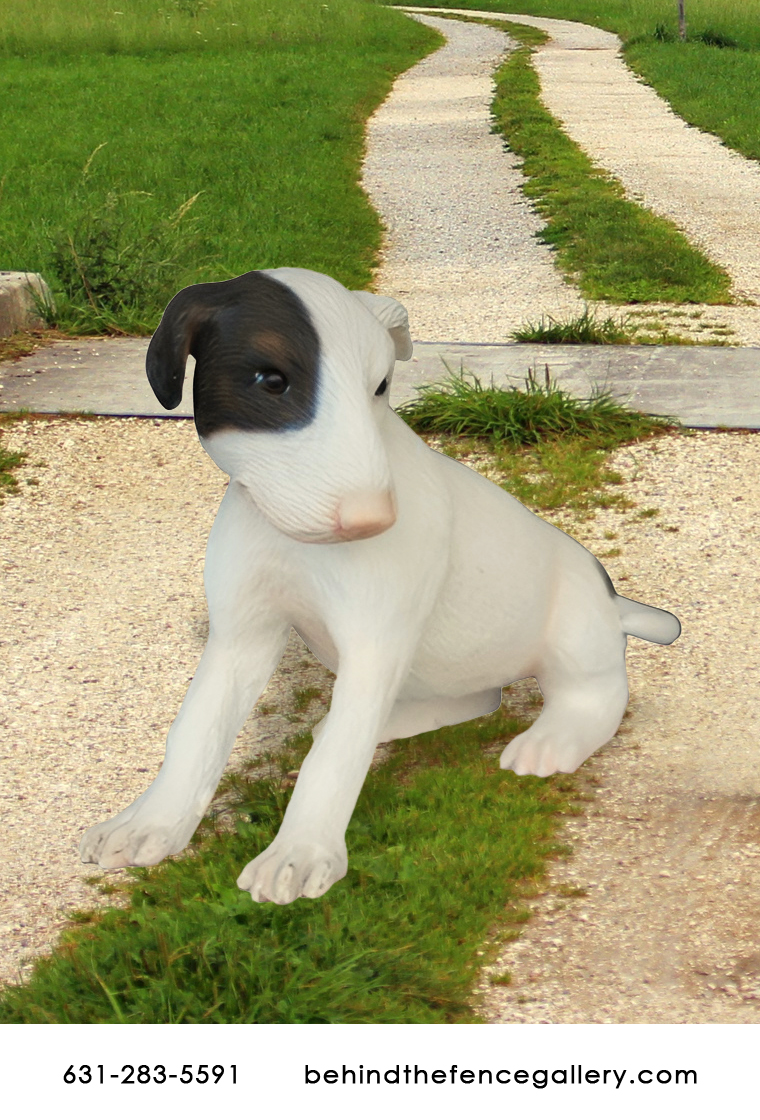 Bull Terrier Dog Puppy Bull Terrier Dog Puppy