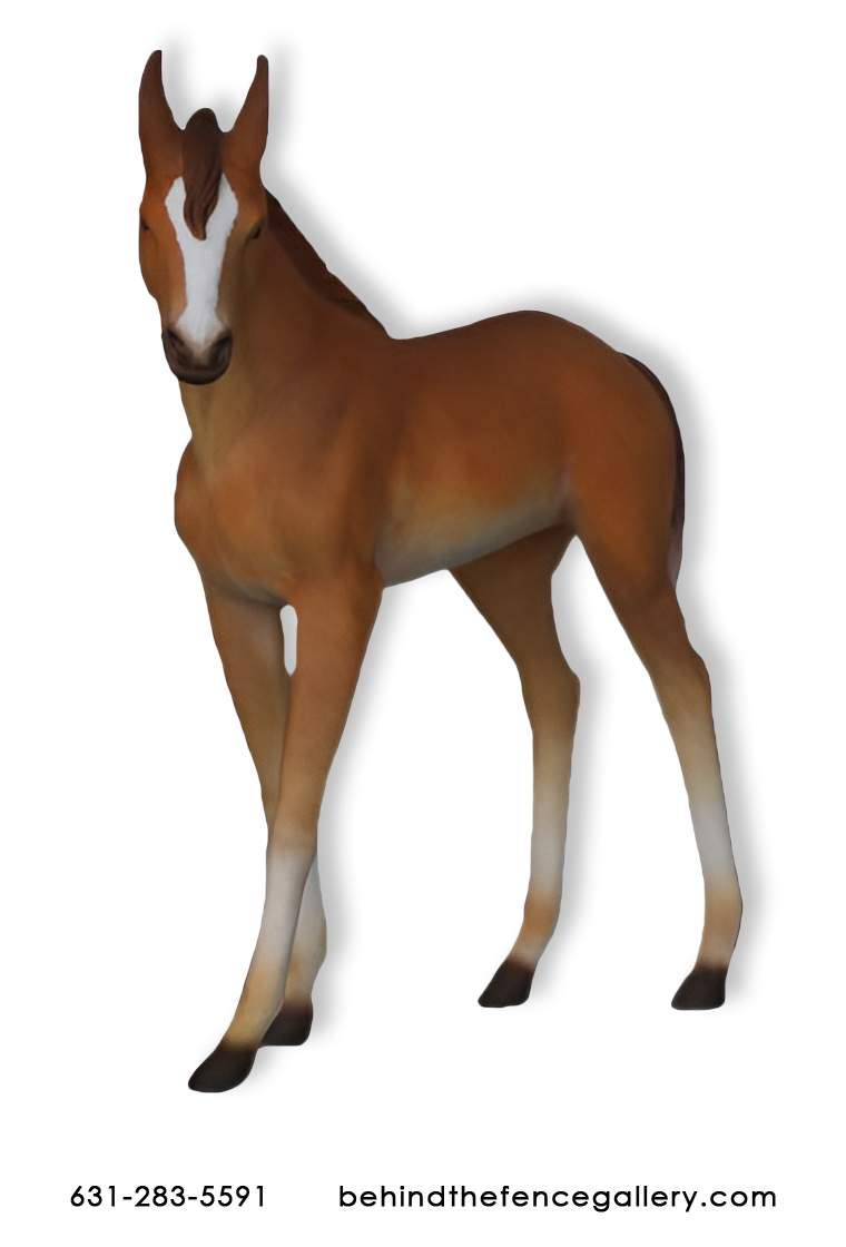 Baby Foal Baby Foal