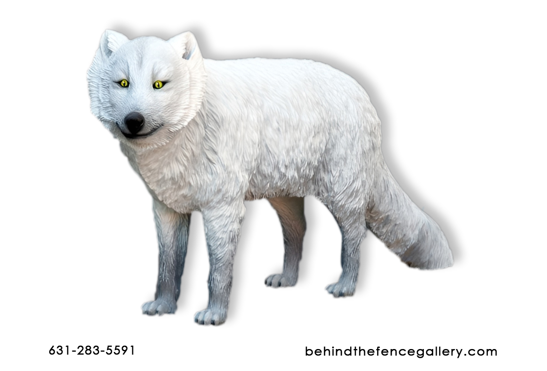 Arctic White Fox Arctic White Fox