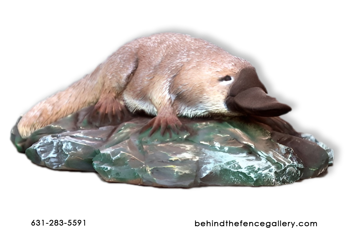 Platypus Statue Platypus Statue