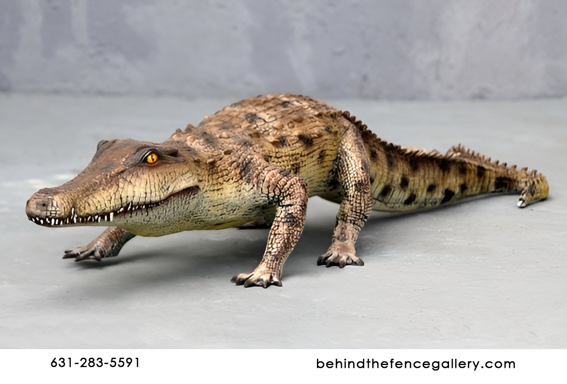 Salt Water Crocodile Salt Water Crocodile