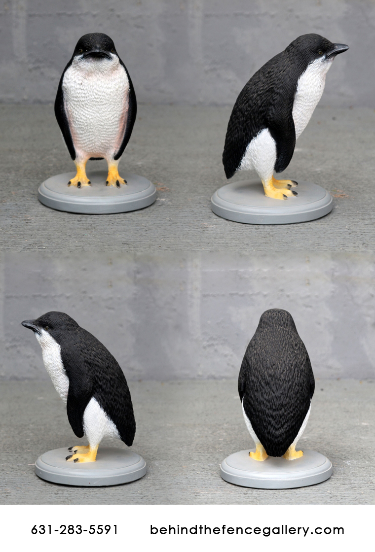 Fairy Penguin Fairy Penguin