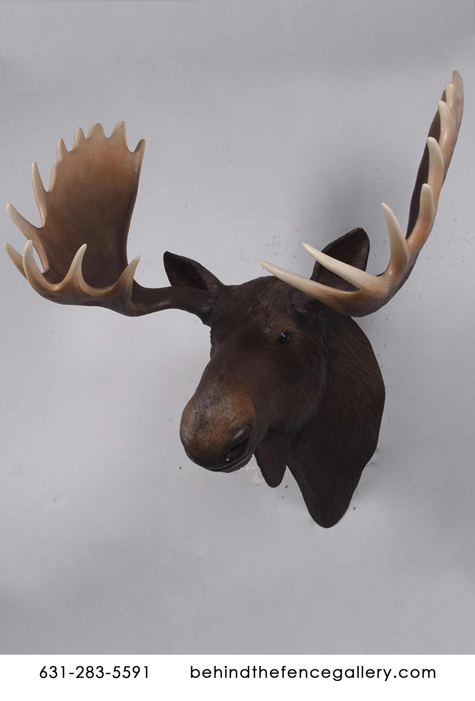 Wall Mounted Moose Head Statue Wall Mounted Moose Head Statue