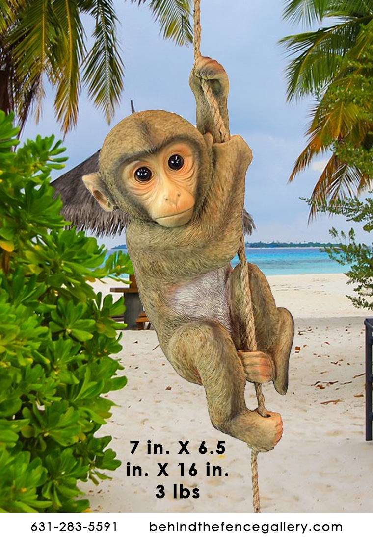 Peaches the Monkey Peaches the Monkey