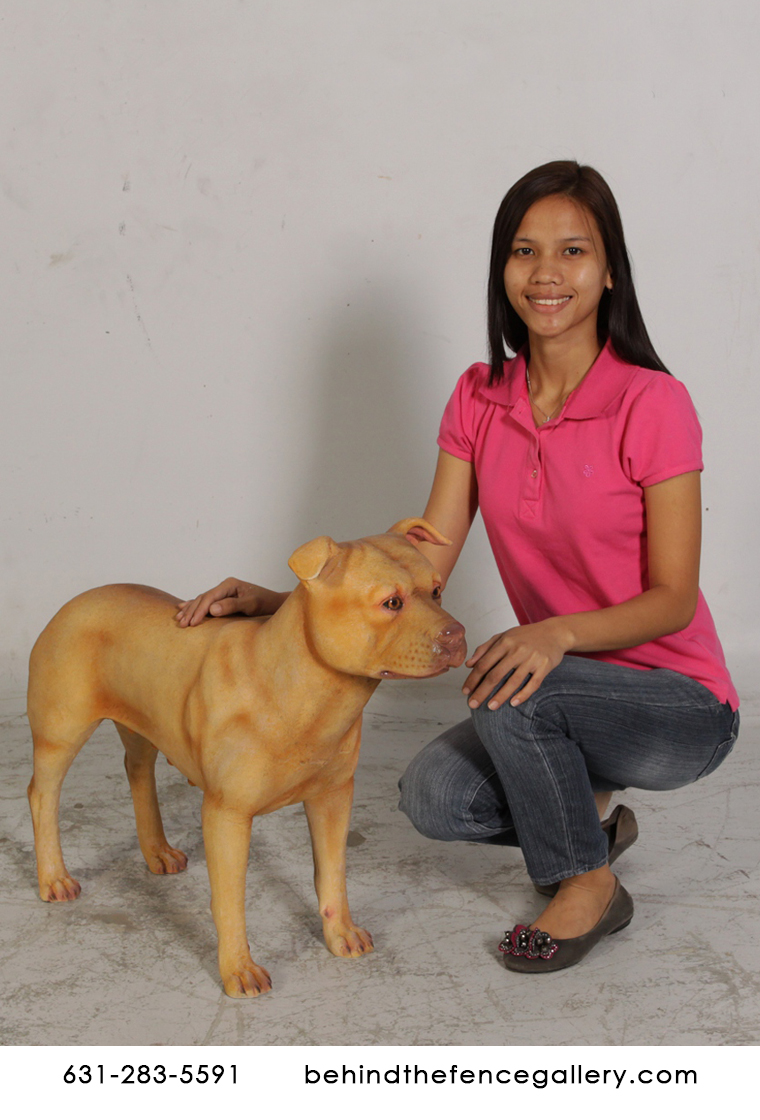 Female Pitbull Statue Female Pitbull Statue