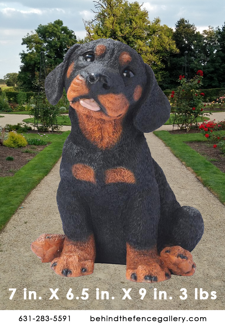 Rottweiler Pup Rottweiler Pup
