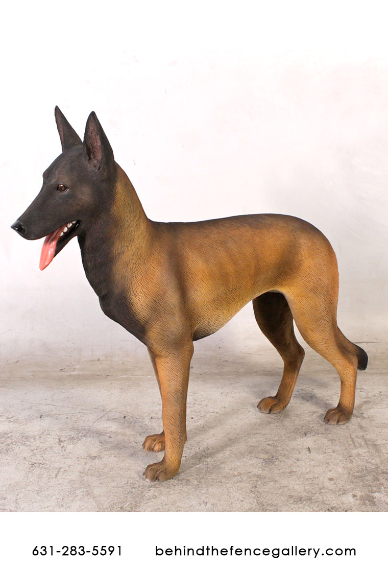 Dog Statue Belgian Malinois Dog Statue Belgian Malinois