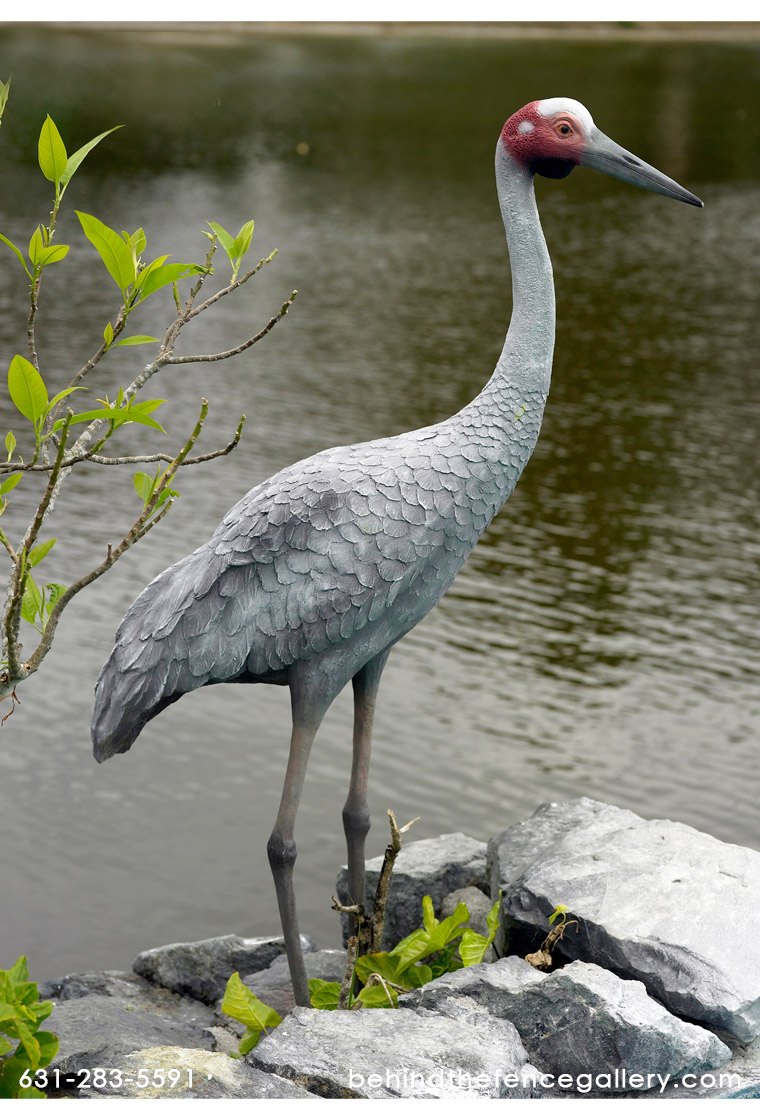 Brolga Crane Statue Brolga Crane Statue