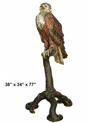 American Eagle Perched on a Branch American Eagle Perched on a Branch