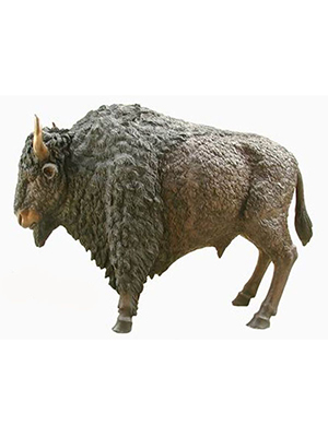 Bronze Bison Bronze Bison
