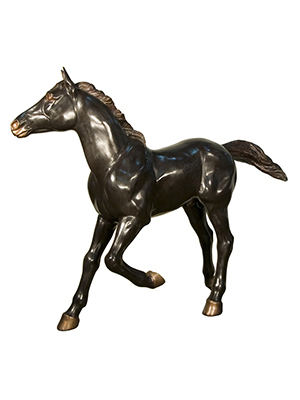 Bronze Colt Bronze Colt
