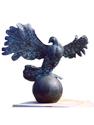 Bronze Dove  Bronze Dove