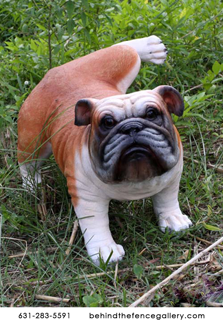 Peeing Bulldog Statue Peeing Bulldog Statue