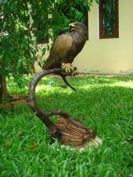 Eagle on Branch Eagle on Branch