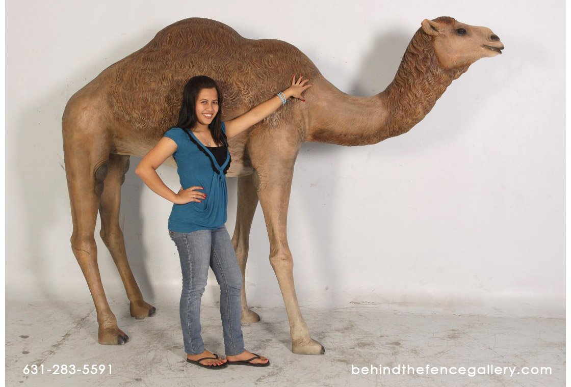 Male Dromedary Camel Statue Male Dromedary Camel Statue