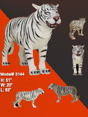 White Tiger Standing White Tiger Standing