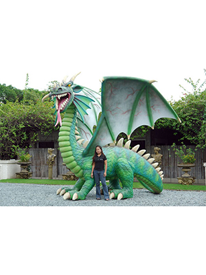 Dragon 13 Ft. Dragon 13 Ft.