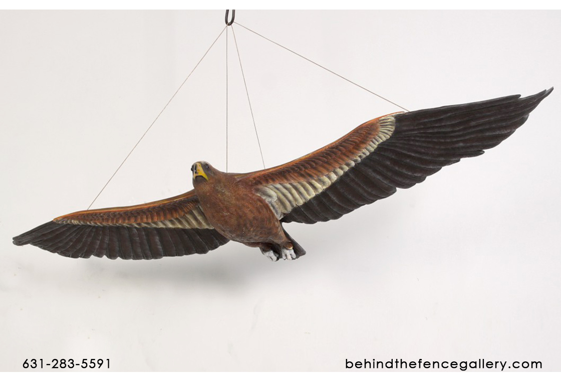 Bird Statue Wedge-Tailed Eagle Life Size Bird Statue Wedge-Tailed Eagle Life Size