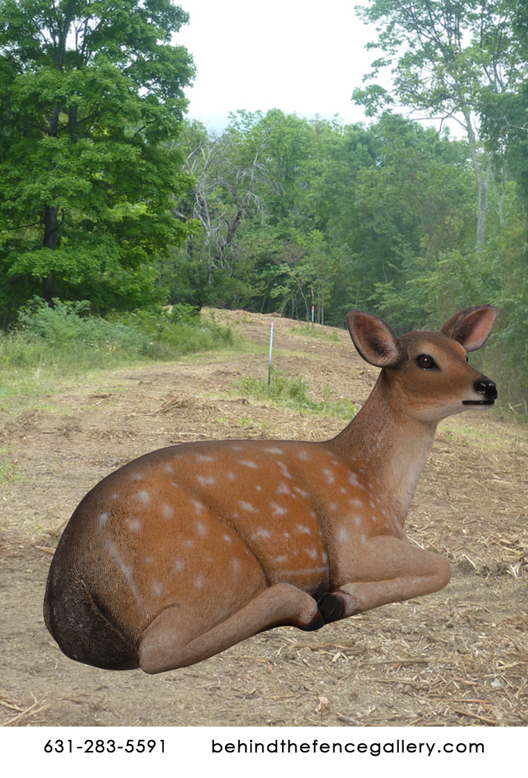 Fallow Deer Fawn Lying Statue Fallow Deer Fawn Lying Statue