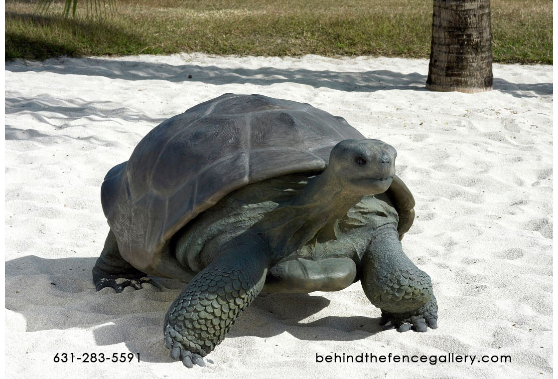 Turtle Statue Galapagos Tortoise Reptile Turtle Statue Galapagos Tortoise Reptile