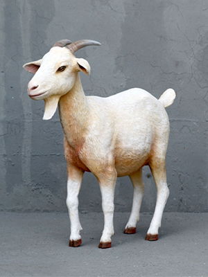 Cream Goat Cream Goat