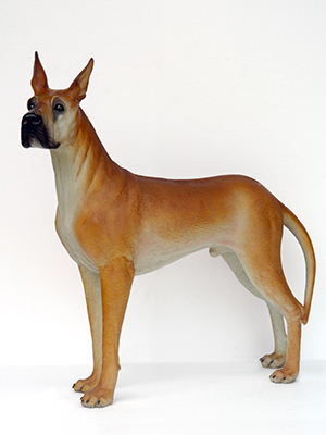Life Size Great Dane Dog Life Size Great Dane Dog