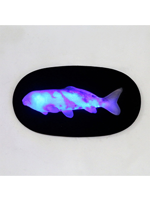 Hanging Koi with LED Hanging Koi with LED