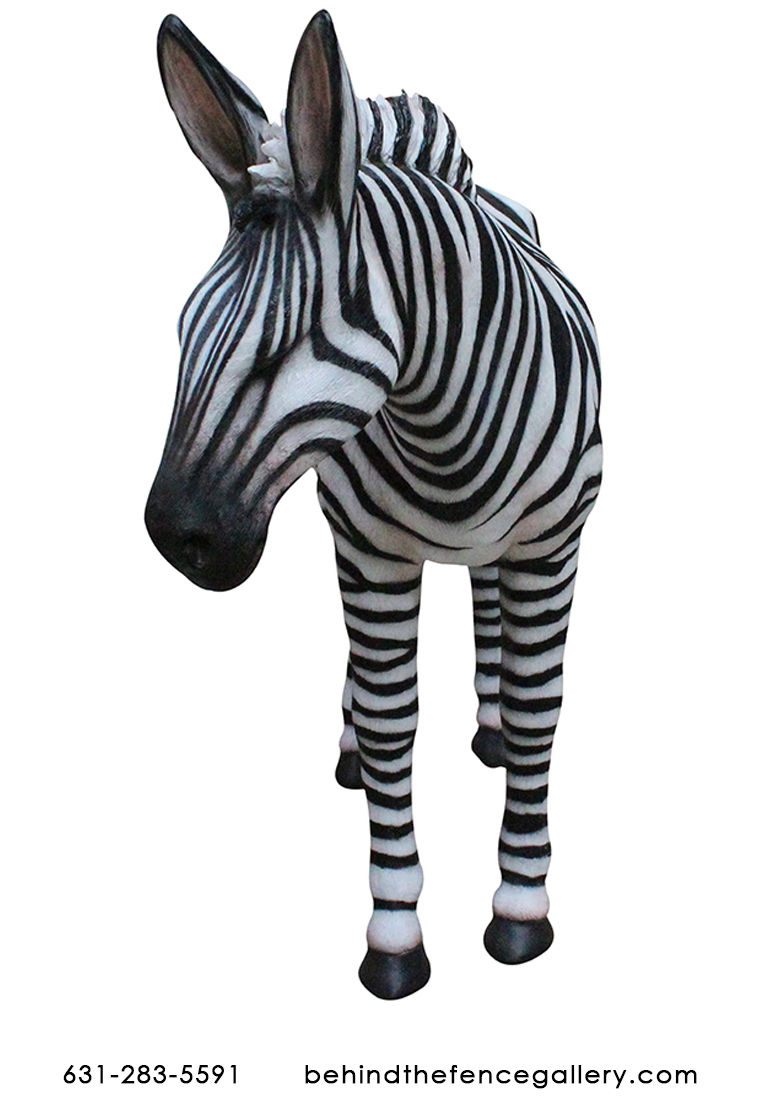 Bronze Zebra