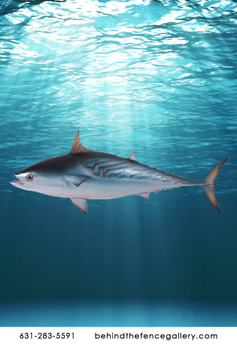 Mackerel Tuna Hanging Statue Mackerel Tuna Hanging Statue