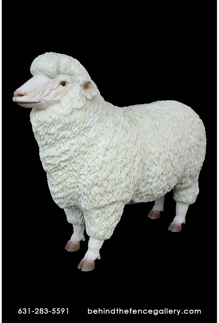Merino Sheep Statue - 3ft. Merino Sheep Statue - 3ft.