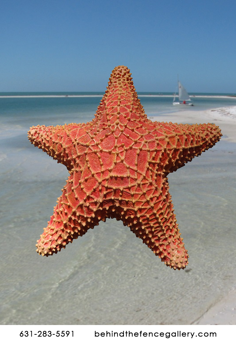 Orange Starfish Statue Orange Starfish Statue