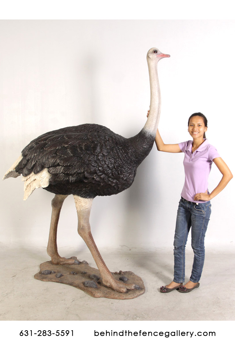 Ostrich Statue Life Size Ostrich Statue Life Size