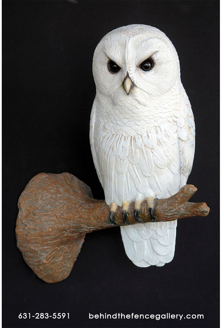 Owl on Tree Branch Owl on Tree Branch