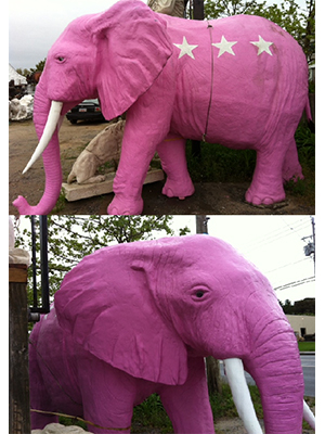 Elephant Pink Elephant Pink