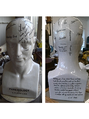 Phrenology Head Statue - Small Phrenology Head Statue - Small