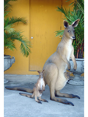 Small Kangaroo with Baby Small Kangaroo with Baby