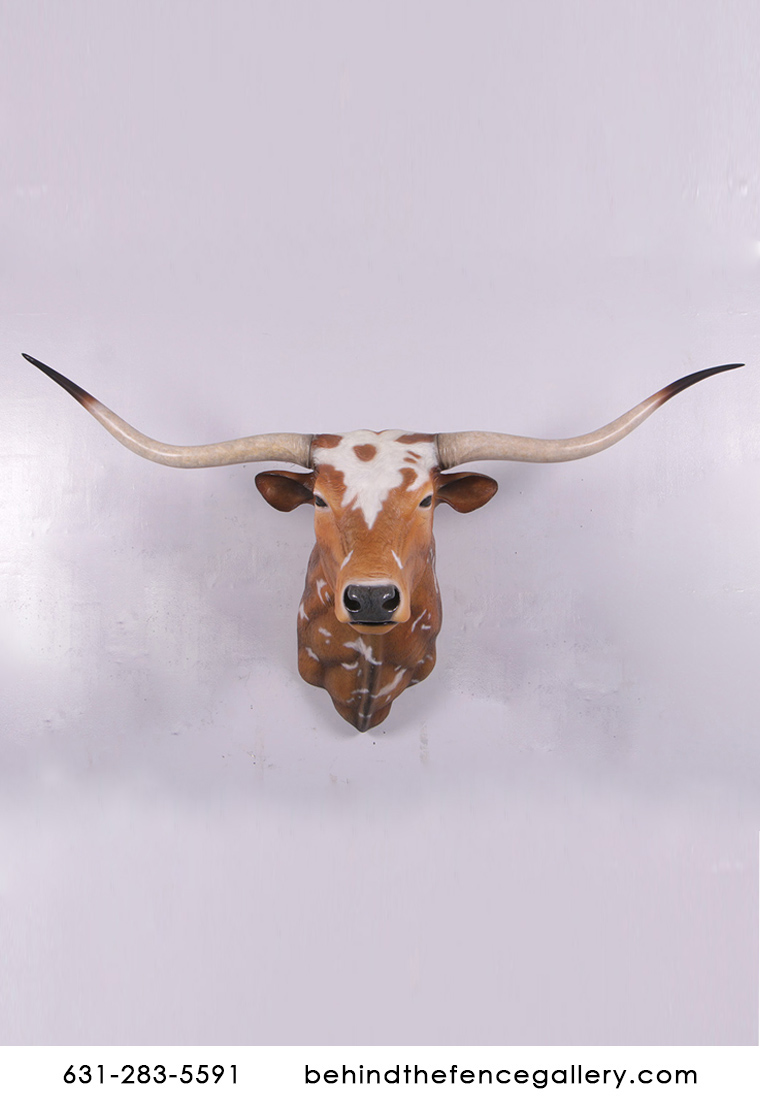 Bull Head Texas Long Horn Head