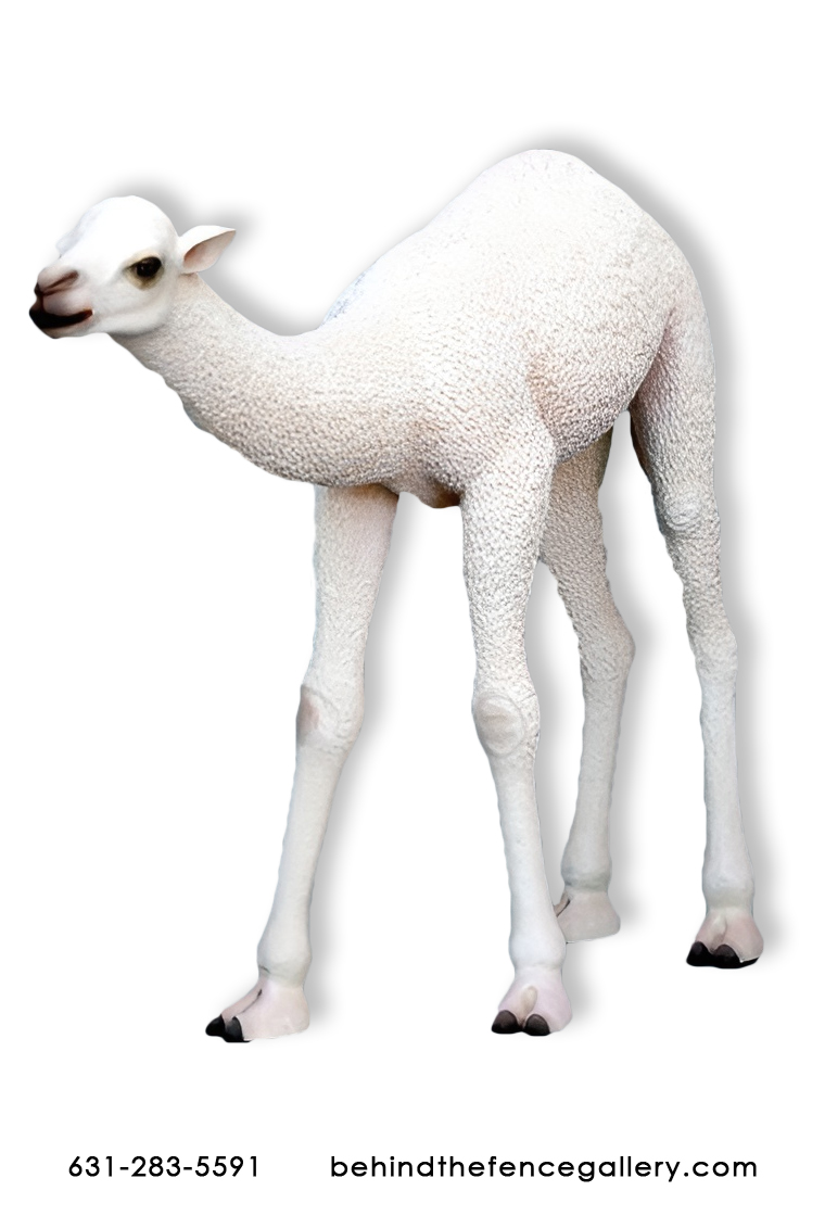 Baby Camel Statue Baby Camel Statue