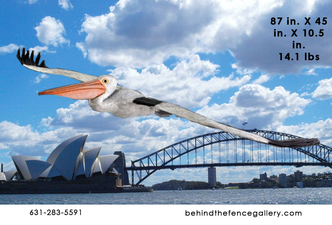 Flying High Pelican Flying High Pelican