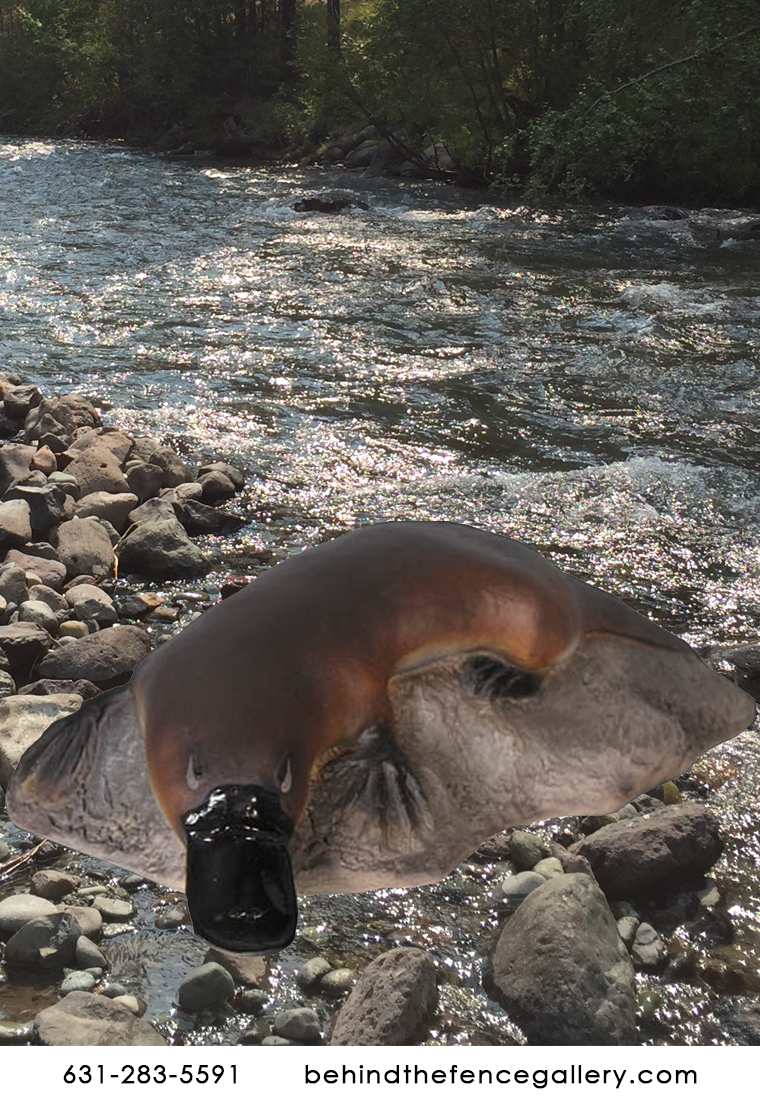 Platypus on Rock statue Platypus on Rock statue