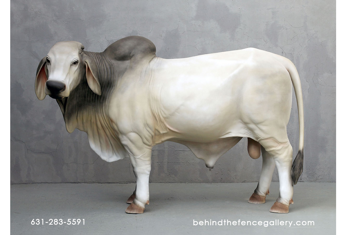 Gray Brahman Bull Statue Gray Brahman Bull Statue