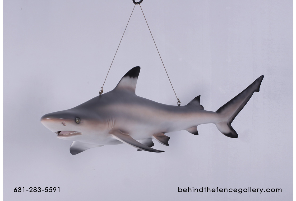 Black Tip Shark Statue Sea Creature Props Black Tip Shark Statue Sea Creature Props
