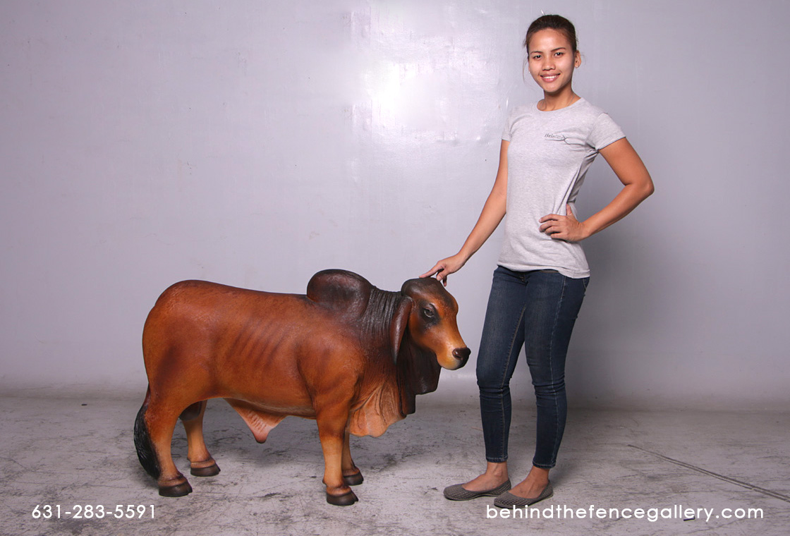 Brahman Bull - Brown (SM) Brahman Bull - Brown (SM)
