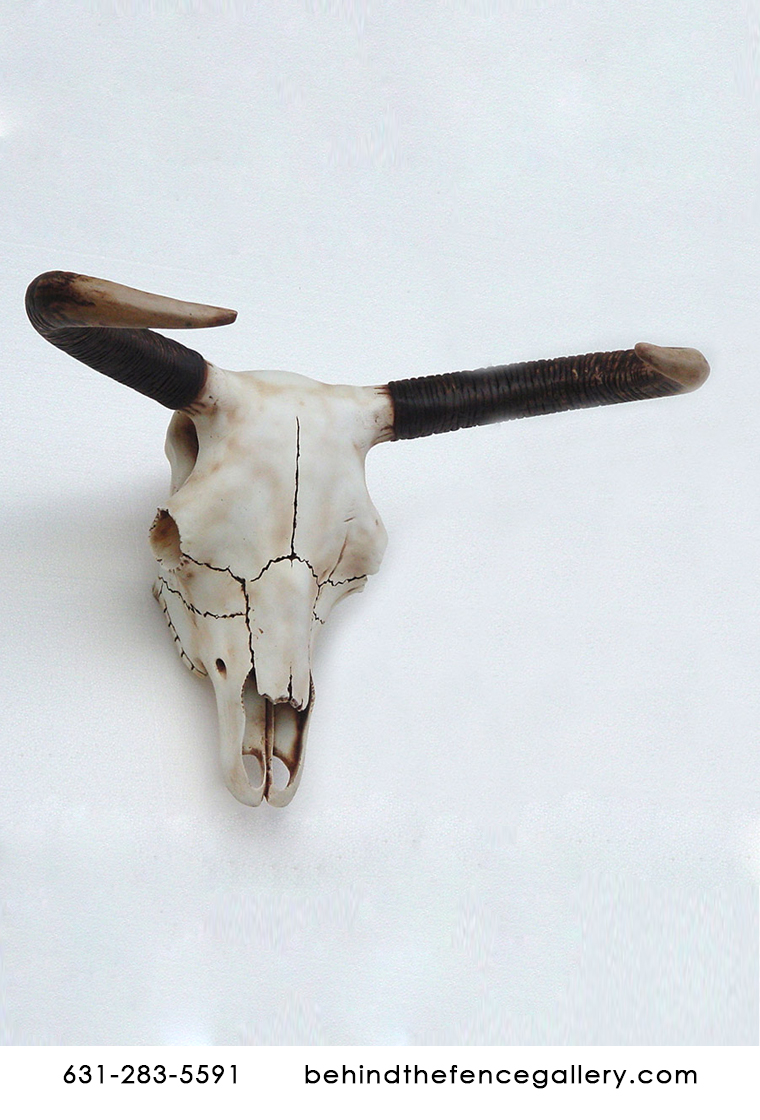 Bull Skull Wall Mount Bull Skull Wall Mount
