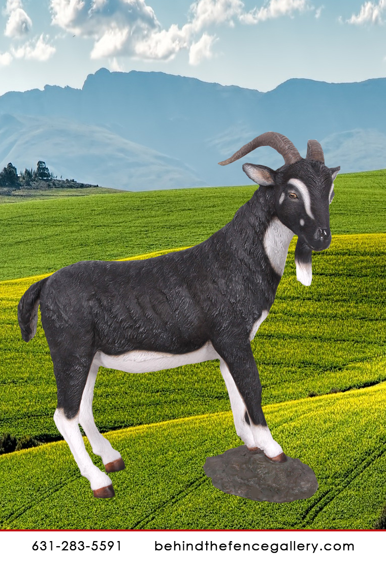 Black and White Billy Goat Statue Black and White Billy Goat Statue
