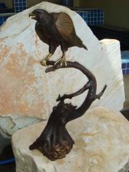 Falcon on Branch Falcon on Branch