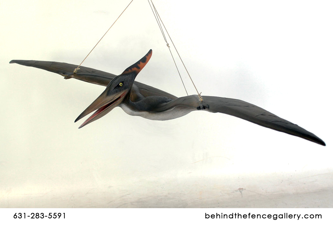 Baby Pteranodon Statue Baby Pteranodon Statue
