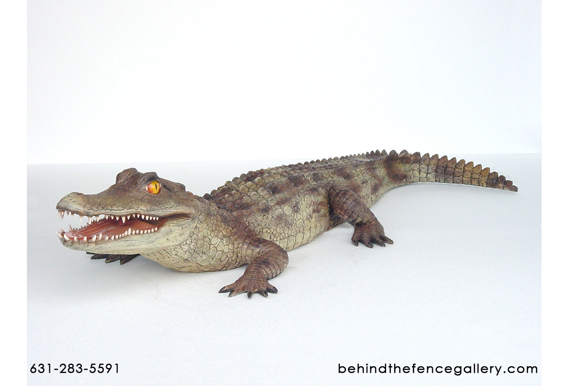 Caiman Alligator Statue - 6.5 Ft Long Caiman Alligator Statue - 6.5 Ft Long