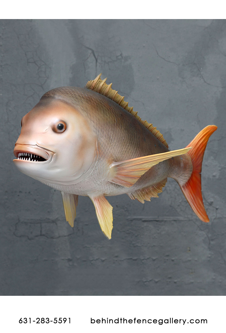 Snapper Fish Wall Hanging Snapper Fish Wall Hanging